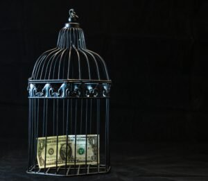 A dollar bill imprisoned in a decorative cage symbolizing financial confinement.